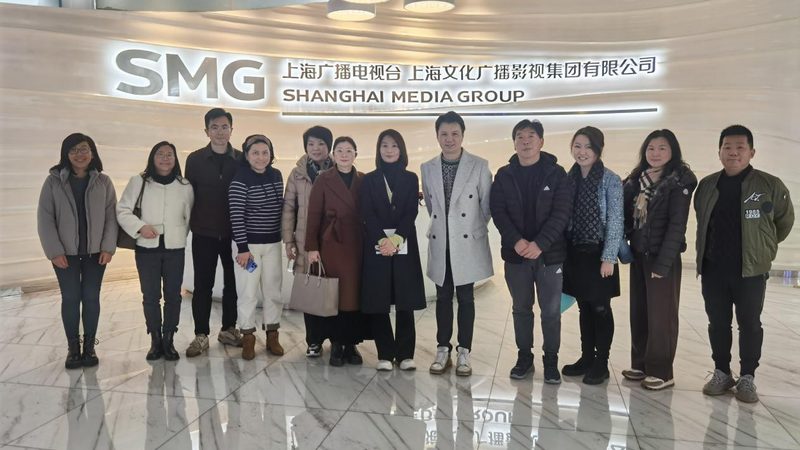 文化传媒公司：揭秘其优缺点，助你明智选择**